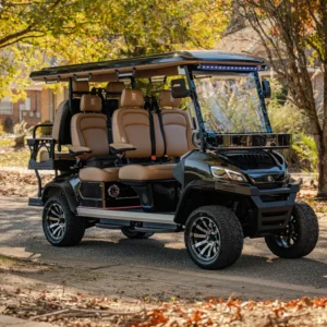 Black Conquest S golf cart detail