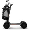 CycleBoard X-Quad 3000 Golf electric board