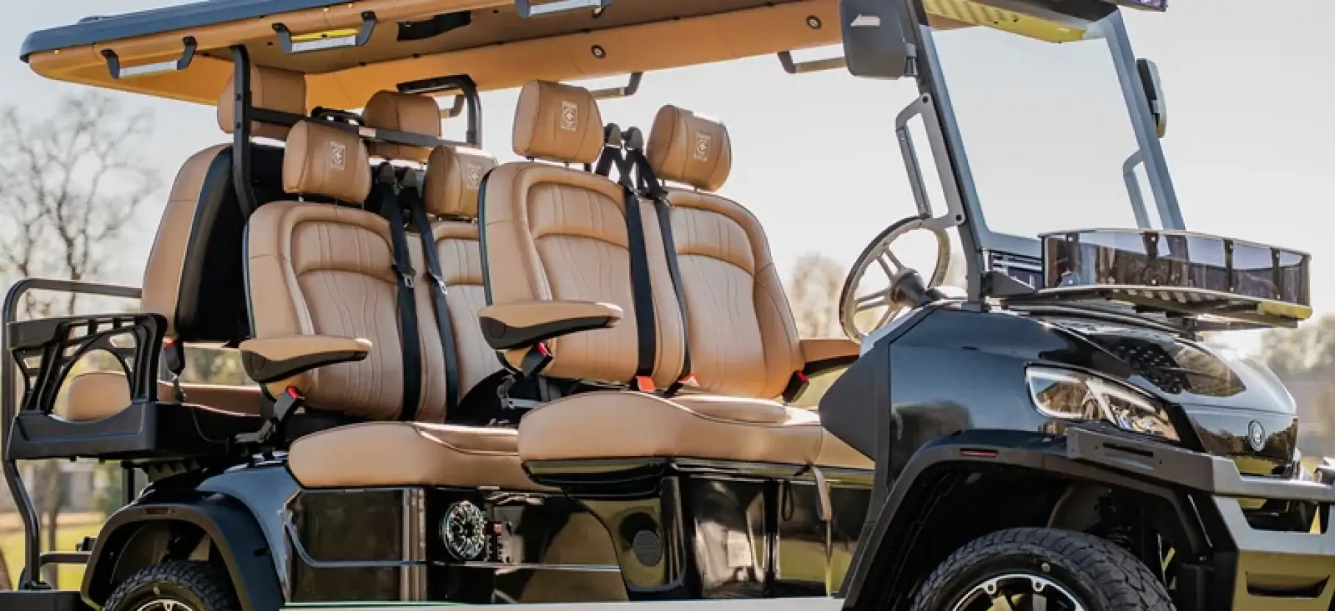Conquest S 6 street legal golf cart